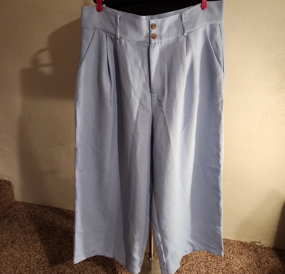 Cider Pale Blue Woven Wide Leg Trousers Size 2XL NWT